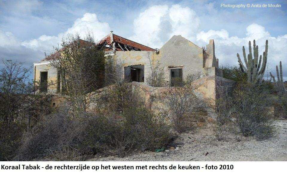 22. Koraal Tabak rechterzijde vanuit het zuidwesten 2010
